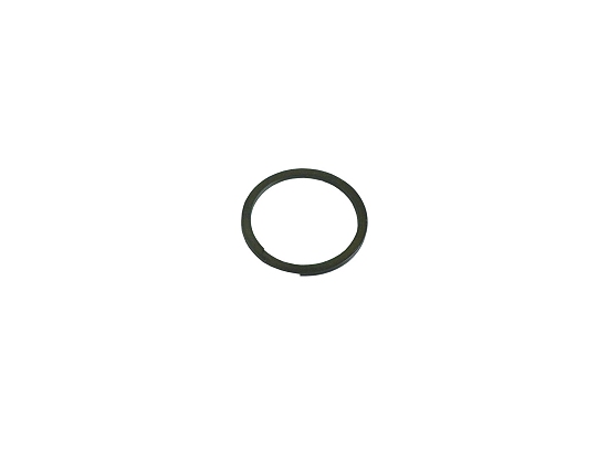 Bully Spiral Snap Ring